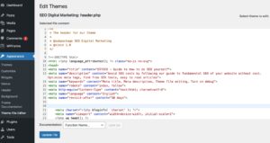 Insert meta tags code